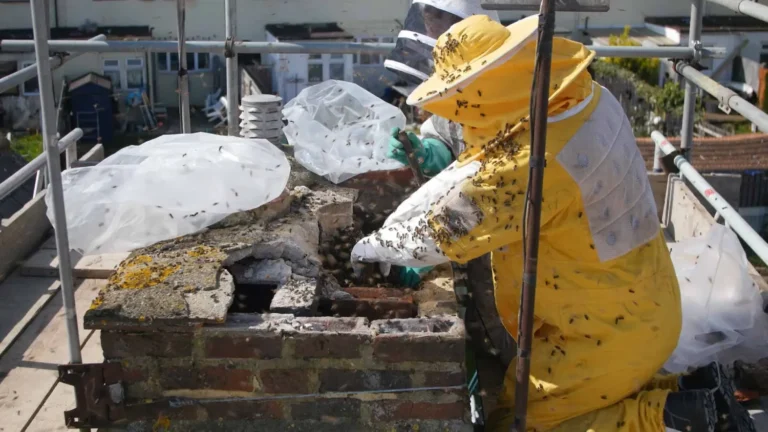 image - 2026-02-19T132440