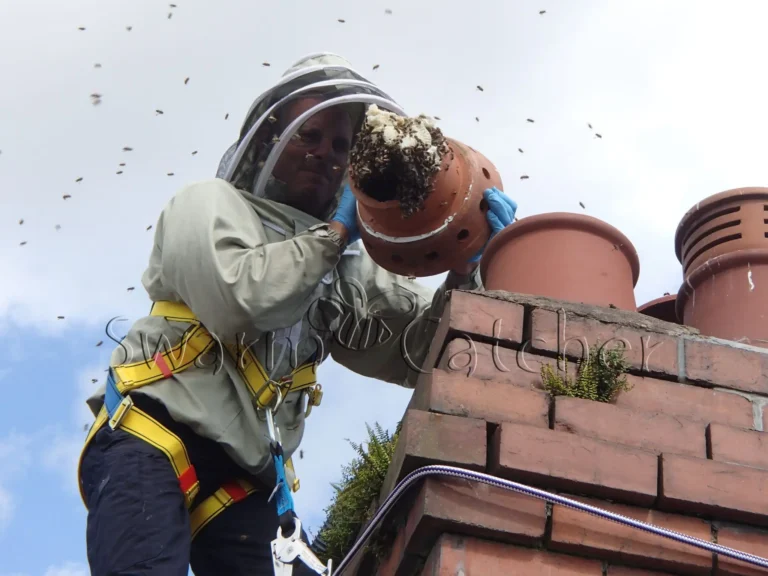 image - 2026-02-19T132620